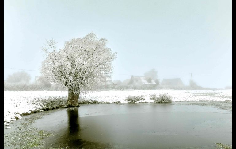 Un campo cubierto de nieve y hielo se aprecia en Godewaersvelde, en el norte de Francia. AFP/P. Huguen