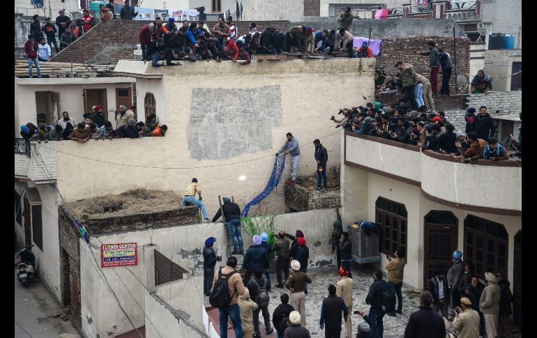 Guardabosques lanzan una red.