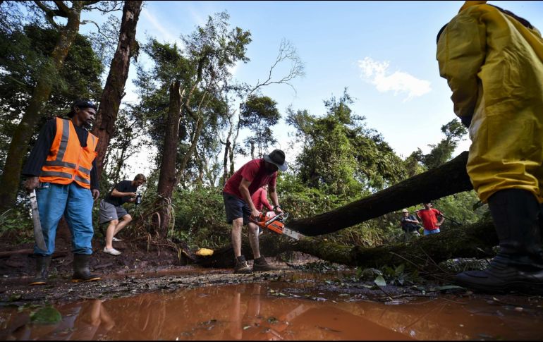 Bomberos y voluntarios cortan los árboles derrumbados, tras la ruptura de un dique de una represa del gigante minero Val. EFE/Y. Edmundo