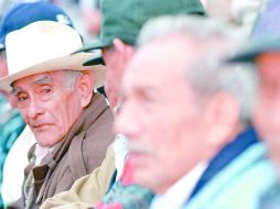 Si al pensionado se le ha suspendido en más de dos ocasiones su pago por concepto de pensión a lo largo del año podría ser indicativo de una falta de actualización de datos ante la institución. EL INFORMADOR / ARCHIVO