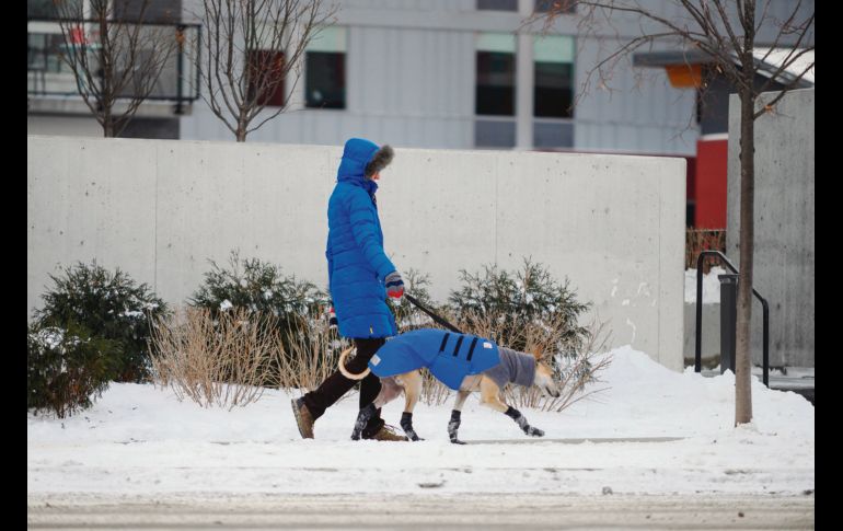 Tras días de encierro, una mujer pasea a su perro en la ciudad de Minneapolis. Los habitantes de esa región comienzan su recuperación tras sobrevivir a temperaturas congelantes.