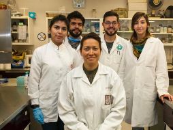 La científica Eva Ramón Gallegos refirió que el estudio también arrojó que mediante esa terapia es posible eliminar las lesiones premalignas de cáncer de cérvix en una etapa inicial. TWITTER / IPN_MX