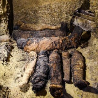 Descubren en Egipto más de 40 momias en una tumba