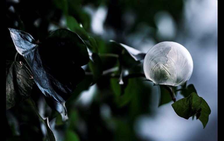 Una gota de agua congelada a una temperatura que ronda los -5 grados centígrados en Villarlod, Suiza. EFE/ A. Perritaz