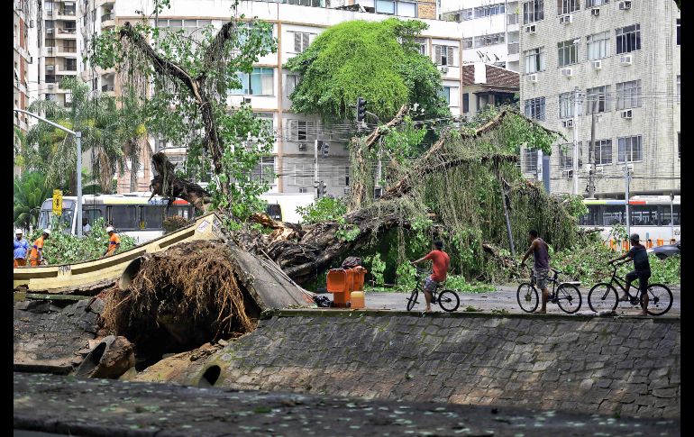 Un árbol arrancado por el paso de la tempestad en Río de Janeiro.