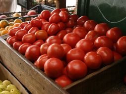 El kilogramo de jitomate se comercializó en alrededor de 15 pesos en mercados de Guadalajara. EL INFORMADOR / ARCHIVO