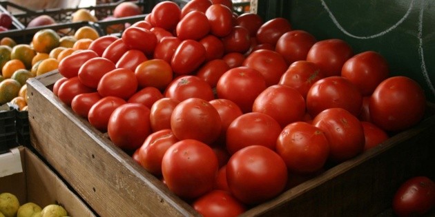 Jitomate, entre productos con mayor variaci&oacute;n en su precio