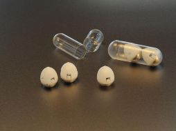 Expertos del MIT aseguran que no hallaron efectos adversos en el uso de la cápsula. TWITTER / @MIT