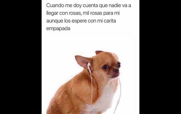 FBMD01000ac003000037150000142c0000b82d0000592f0000f0430000fa61000055670000ba690000176c00007a9b0000