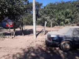 Peritos del Servicio Médico Forense de Puerto Vallarta levantaron los restos para la práctica de la autopsia de ley. ESPECIAL