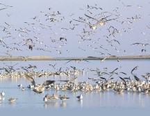Huatulco, paraíso oaxaqueño