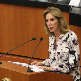 La Guardia Nacional legaliza errores del pasado: ONG