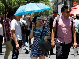 Explican que el aumento de calor no se debe a otras problemáticas como lo es la deforestación. NTX/ARCHIVO