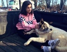 El perro, de raza akita, pudo finalmente reunirse con su familia tras la tragedia. TWITTER
