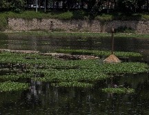 La página de Internet constará además de cursos en línea para los municipios. EL INFORMADOR/ ARCHIVO