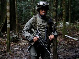 El departamento de Nariño, donde ocurrió el ataque, es el más afectado por los sembradíos de hoja de coca. AP/ARCHIVO