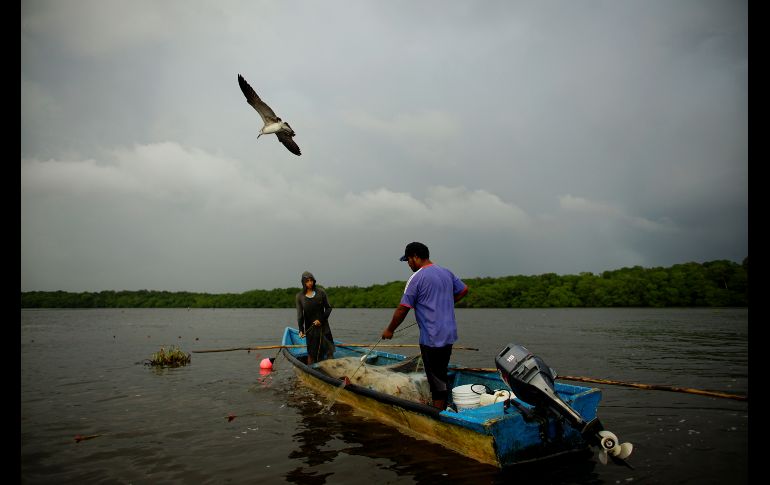 Una gaviota vuela junto a pescadores en la laguna Mecoacán. REUTERS/A. Meneghini
