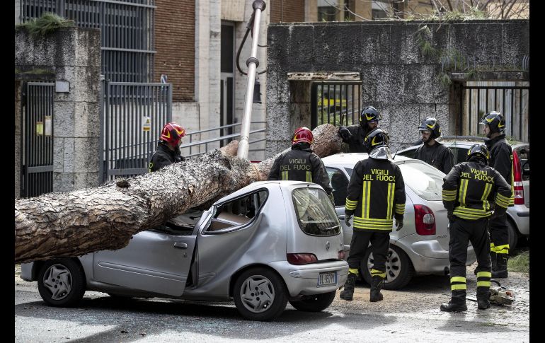 Bomberos retiran un árbol que cayó sobre varios vehículos en la avenida Viale Mazzini de Roma e hirió a por lo menos tres personas, como consecuencia de las fuertes rachas de viento registradas en la capital italiana. EFE/ M. Percossi