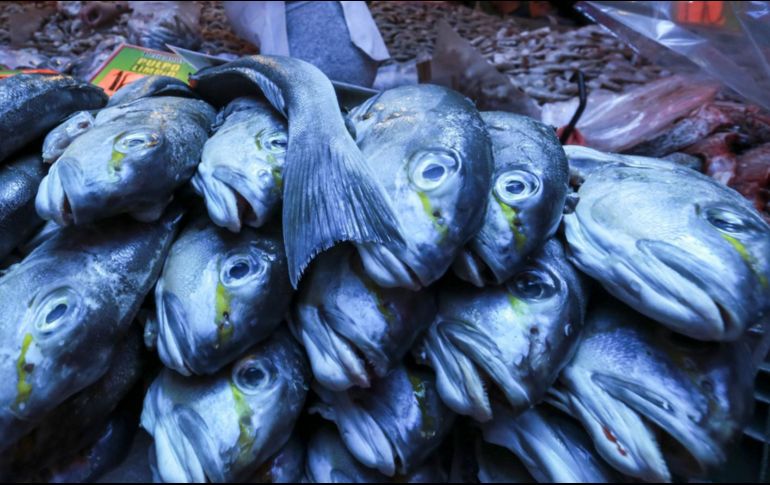 Las importaciones chinas de productos del mar procedentes de países y regiones participantes en la iniciativa Cinturón y Ruta (B&R) registraron un crecimiento interanual durante 2018. EL INFORMADOR / ARCHIVO