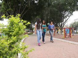 La iniciativa plantea que se considere como falta 