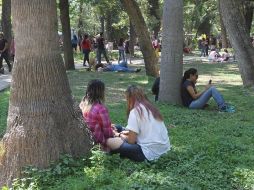 Las relaciones personales muestran el mayor promedio 8.8, mientras que en dominios de la esfera pública la satisfacción con el país es de 6.9, y seguridad ciudadana de 5.4. EL INFORMADOR / ARCHIVO