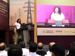 Nahle resaltó la necesidad de implementar estrategias para obtener soberanía y seguridad energética. EFE/ARCHIVO