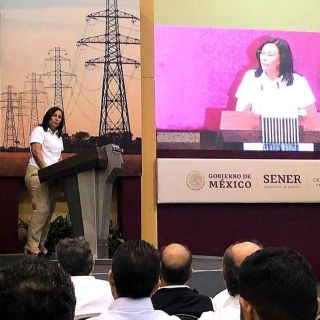 Se destinarán recursos extraordinarios para yacimientos: Sener