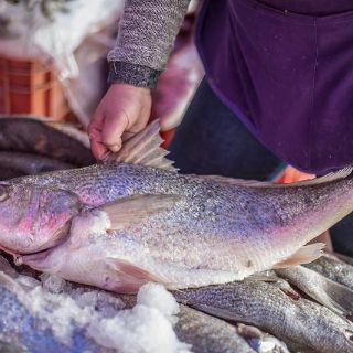 Consumir pescado, opción saludable de dieta diaria de mexicanos