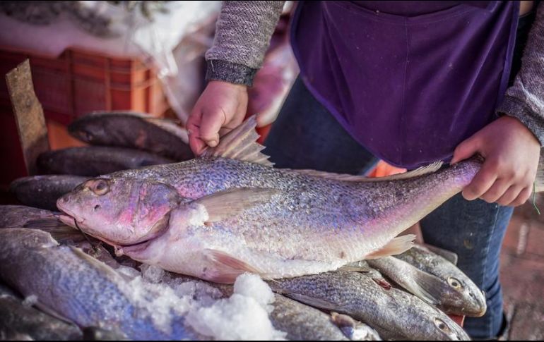 Por tratarse de un alimento que por sus características puede descomponerse fácilmente, siempre es importante verificar que se encuentre en condiciones óptimas antes de consumirlo. EL INFORMADOR / ARCHIVO