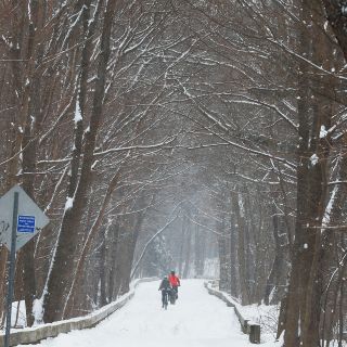 Pronostican nueva tormenta invernal en Estados Unidos