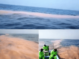 Lo que observaron los pescadores ya fue reportado también a la Agencia de Seguridad Ecología y Ambiente. ESPECIAL