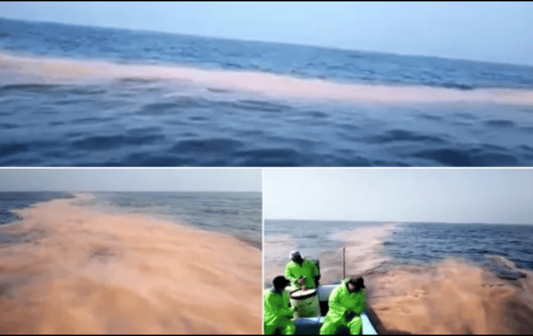 Lo que observaron los pescadores ya fue reportado también a la Agencia de Seguridad Ecología y Ambiente. ESPECIAL