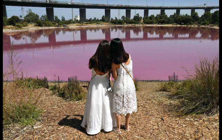 El espectáculo rosado se encuentra en el parque Westgate, en una zona industrial a las afueras de la ciudad.
