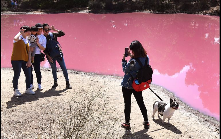 Un lago en la ciudad australiana de Melbourne atrae a locales y turistas por su peculiar tono rosa pastel.