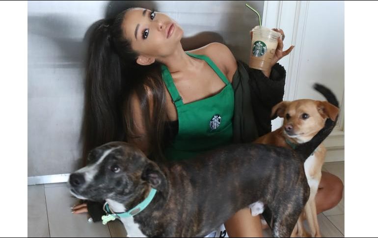 La nueva bebida fría de Starbucks está creada bajo la influencia del disco de Ariana 