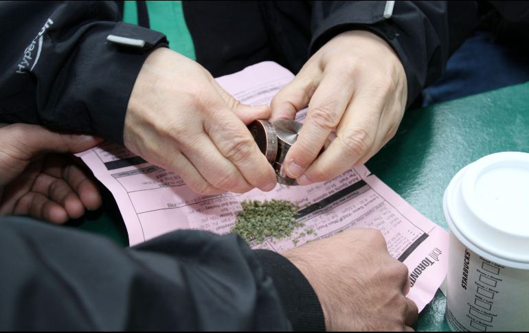 Uruguay y Canadá han argumentado que la regularización del cannabis es una medida eficiente para luchar contra el mercado negro de esta substancia.  EFE/Archivo