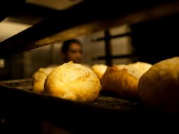 El 98 por ciento de los 12 mil 700 industrias que integran este rubro son micro, pequeñas y medianas empresas. EL INFORMADOR / ARCHIVO