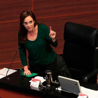 Presentaré iniciativa para castigar el aborto: Lily Téllez