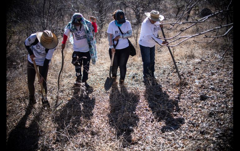 La brigada halló 7 cadáveres y unos 100 restos humanos entre el 20 de enero y el 2 de febrero. AFP/P. Pardo