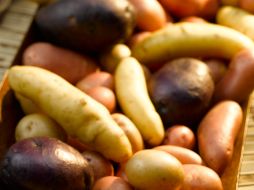 Existe gran variedad para cocinar este tubérculo, tanto fresca como cocida se puede preparar nutritivamente. CORTESÍA / POTATOES USA