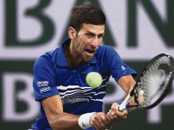 Novak Djokovic arrancó su participación en Indian Wells superando en sets corridos al estadounidense Bjorn Fratangelo. AFP