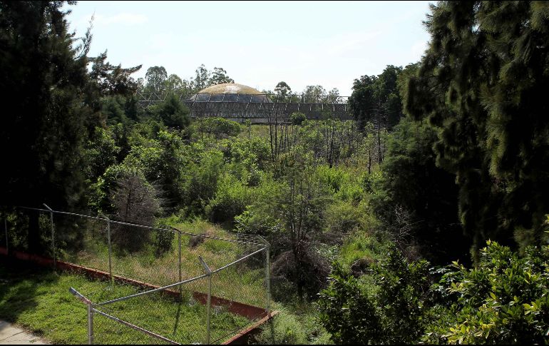 i-Tree Eco ya se aprovecha en proyectos como la próxima construcción del centro de espectáculos arena Guadalajara, en los terrenos del antiguo planetario. EL INFORMADOR/Archivo