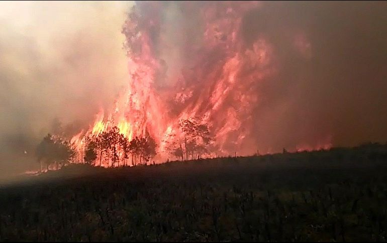 Durante más de doce horas, las llamas han consumido cientos de hectáreas del Valle y Cofre de Perote. EFE