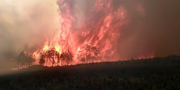 Desalojan a dos mil habitantes por incendio en un bosque de Veracruz