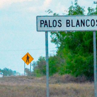 ¿Qué se sabe de los pasajeros bajados de un autobús en Tamaulipas?