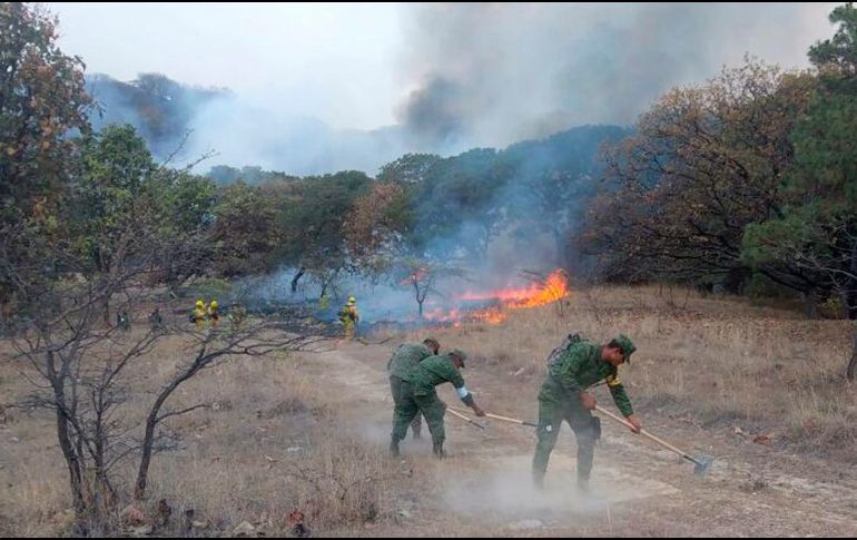 Los especialistas hicieron un llamado a la población a evitar el uso del fuego, así como a los agricultores para que cuiden sus quemas. NTX/ ARCHIVO