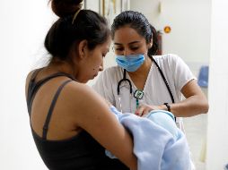 La temporada actual va en la semana 10 de 2019 y tiene la cantidad más alta de muertes desde 2014. EL INFORMADOR / A. Camacho