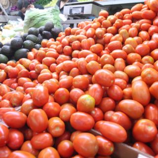 Productores de jitomate ven riesgos en exportaciones a EU