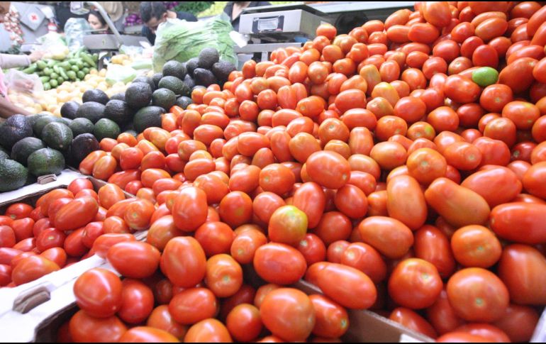 Señalan que, de cada dos tomates que se consumen en EU, uno es mexicano. EL INFORMADOR/ARCHIVO