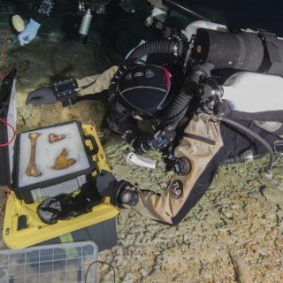 Investigadores revelan datos de esqueleto que vivió hace 13 mil años